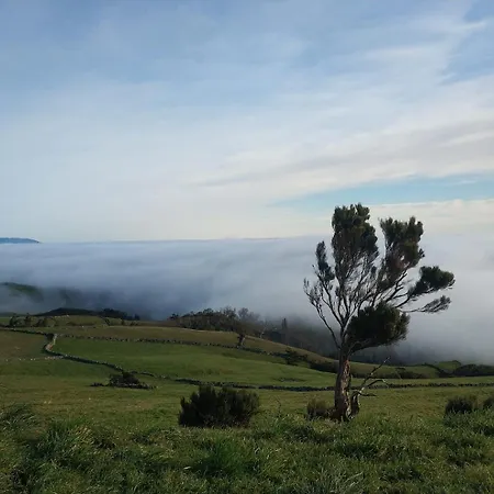 Дом отдыха Casa Da Queijaria Faja Grande