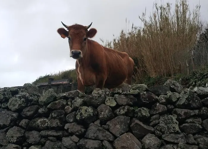 Casa Da Queijaria 別荘
