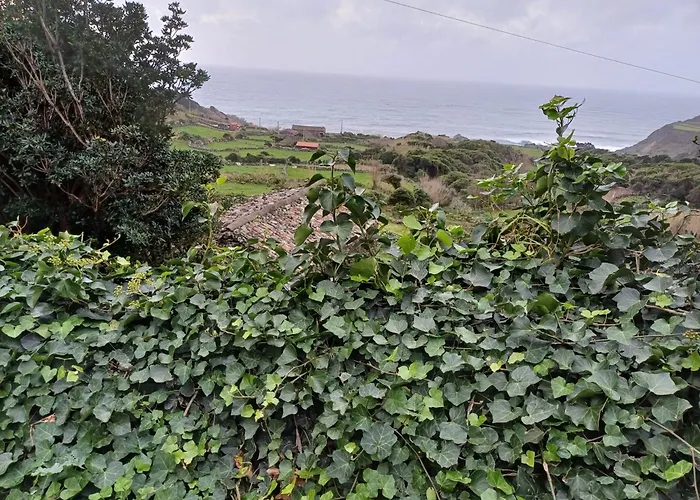 別荘 Casa Da Queijaria Faja Grande