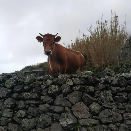 Casa Da Queijaria Дом отдыха