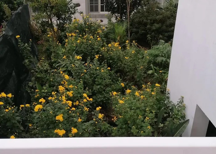 Vakantiehuis Casa Da Queijaria *